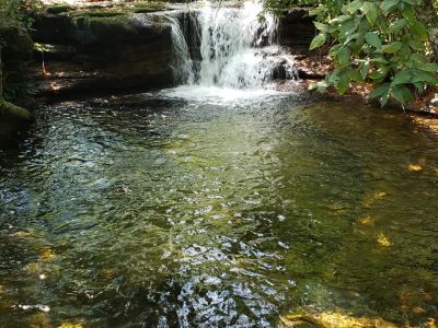 Fazenda a Venda em Novo Acordo Tocantins
